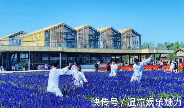 崆峒|崆峒山夢(mèng)華錄|崆峒武團(tuán):少年錦時(shí) 白衣俠客御風(fēng)行