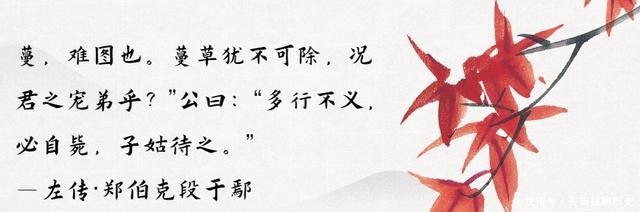 小儿子|因为母亲的偏心,从而引发的一场兄弟相残之战