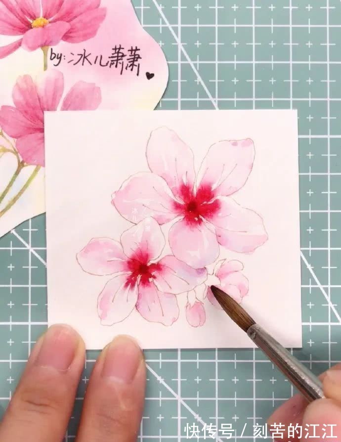 花瓣@水彩这样画,也太美了吧!居然把花瓣画出透明的感觉,看完忍不住保存!