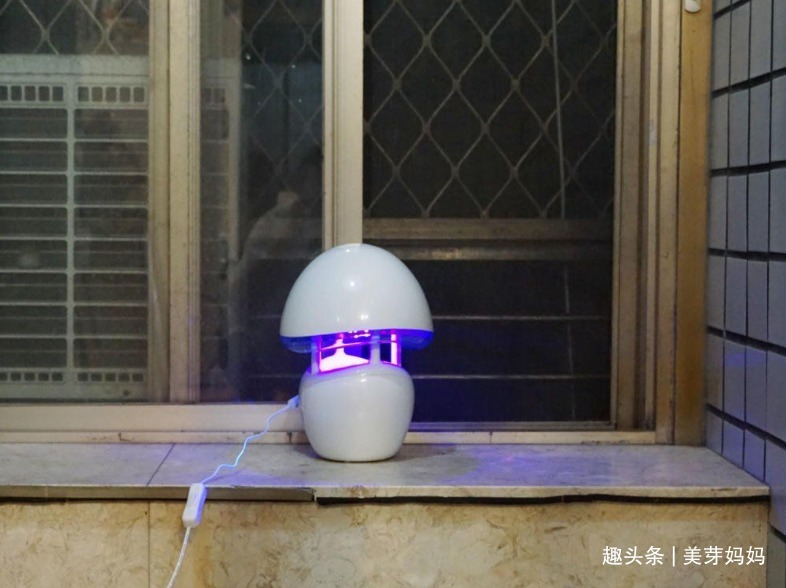 止痒|宝宝被蚊子叮咬后,第一步不是帮娃止痒,很多家长都做错了