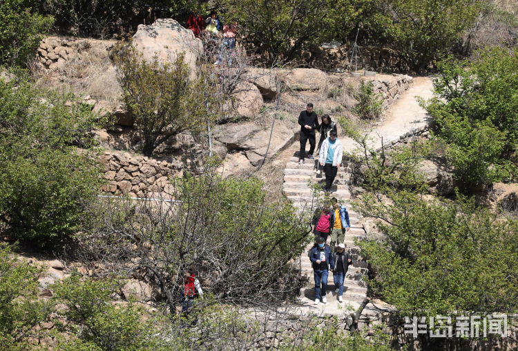 踏青休闲樱桃谷