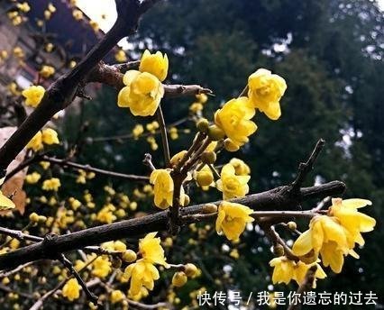 书写|中国唯一用手写录取通知的大学，数十位老教授每年坚持亲笔书写