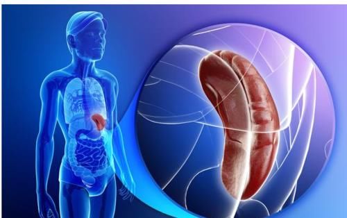 赤小豆|祛濕別再迷戀薏米紅豆！該怎樣更有效的祛濕呢？