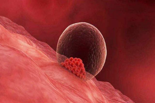 小张|妈妈是这种血型,宝宝一出生就“赢了”,比其他血型更有先天优势