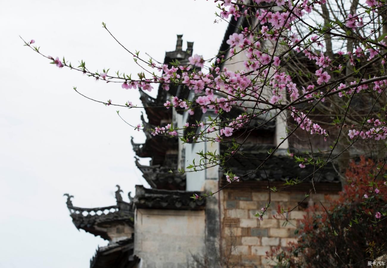 在安徽黟县旅行，西递、屏山、桃花源这三个地方，很值得看一看