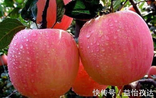 山楂荷叶茶|高血压“害怕”6种食物,坚持每天吃,不到一月,血压平稳降下来