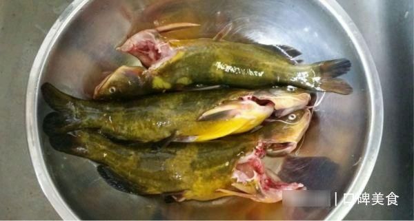 黄辣丁|养生黄辣丁豆腐汤