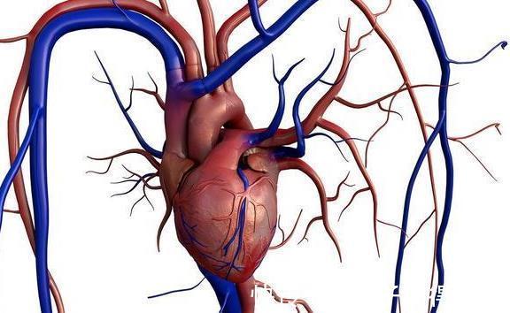 心脏|高血压患者心率控制在多少合适呢?心率不稳对身体的危害应该明白