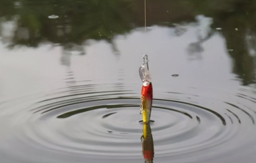 穿蚯蚓时把钩尖露出来会影响鱼吃饵吗？老钓友是这样解释的