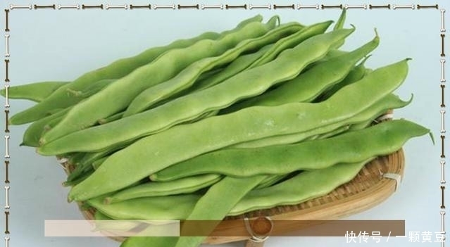 豆中含有丰富|秋天的4种豆,健脾养胃滋阴补肾,进来看看不会吃亏的