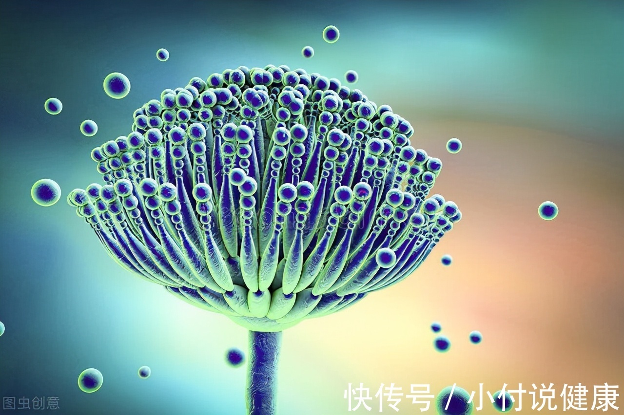 食物|吃火腿肠会增加癌症风险?医生忠告:以下4种食物应该少吃或不吃