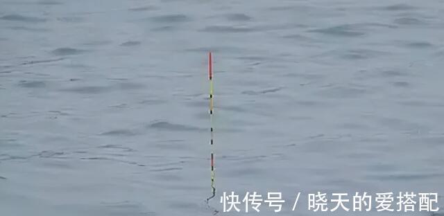 水温|为何入秋之后,水库守钓始终没鱼口,不是没鱼,而是几个因素