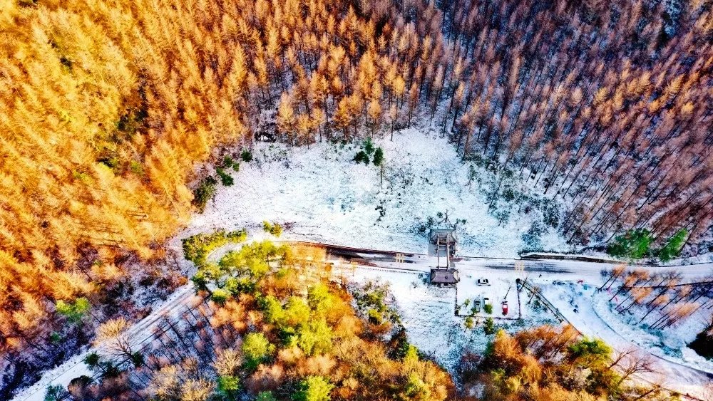 朝天区|角逐“成渝十大文旅新地标”，四川曾家山凭什么？