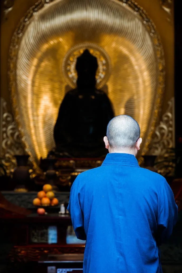 爱别离|梦参老和尚丨千万别求舒服,太舒服了不长寿