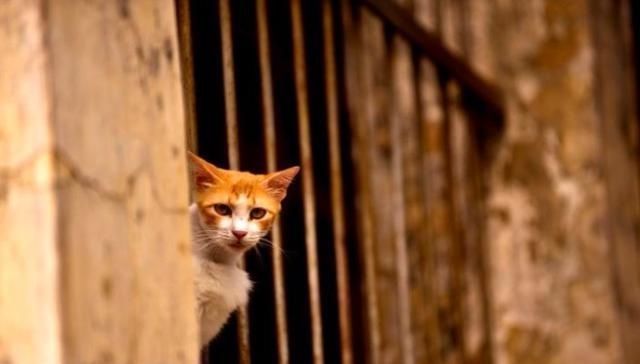 光阴|1000年来最有用的一句诗,短短7字,学会了一辈子受益无穷