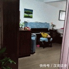 |搞笑GIF:不会咬裙子留人的狗子不是一只好狗子
