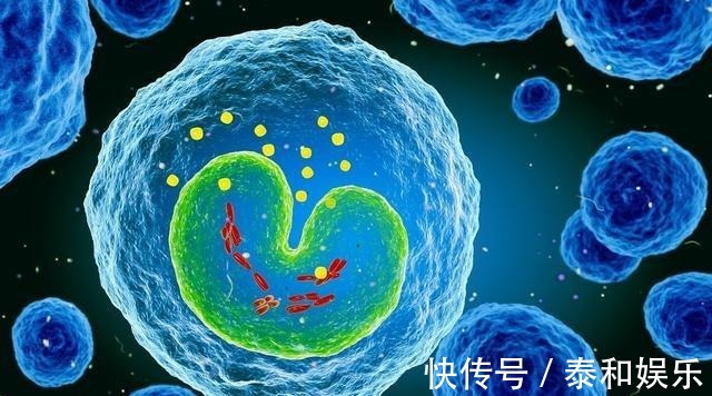 抗体反应|癌症和生气有关系吗原来经常有负面情绪的人,患癌率真的很高