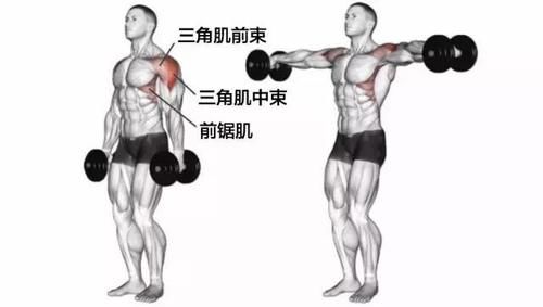 疼痛|鍛煉完三角肌之后脖子疼痛比較嚴重，你的側平舉訓練或許不對