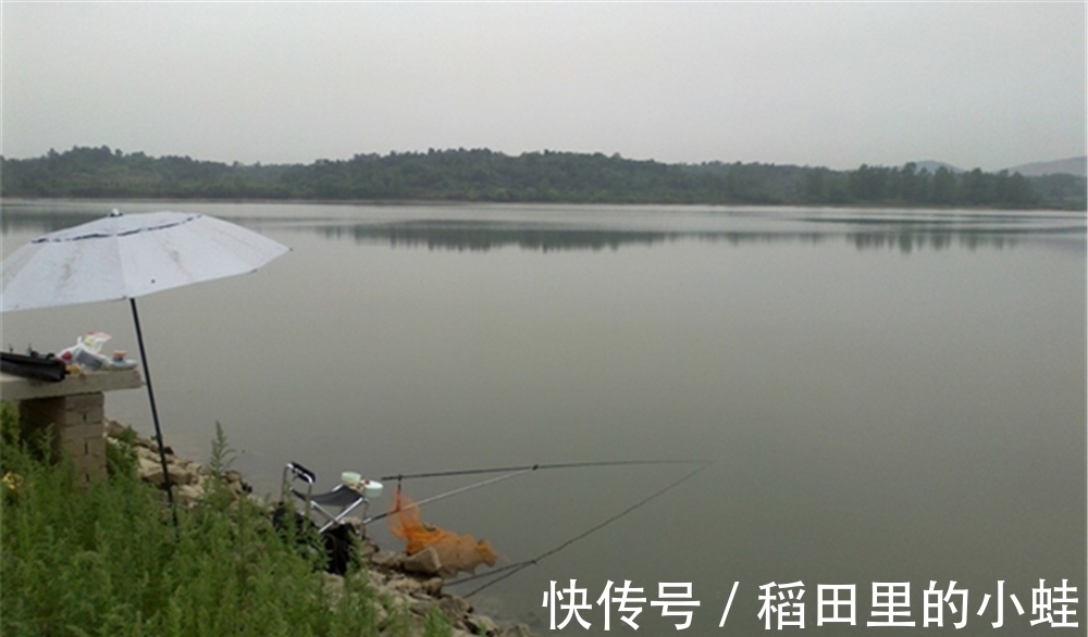 仲春野钓大鲫鱼,这三种天气鱼情最好,随便钓,大鲫鱼也能连竿上