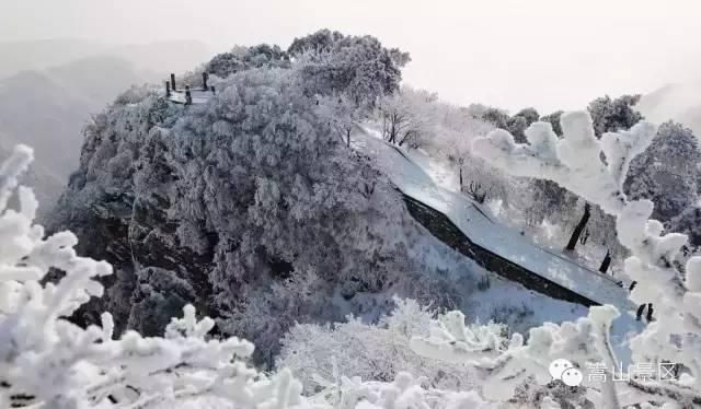 迎来|嵩山迎来冬日里的雪