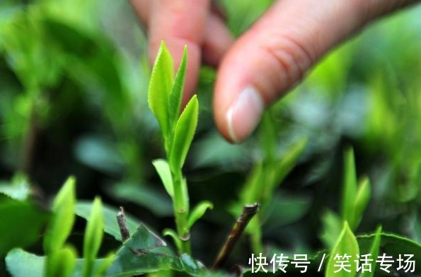 高热卡|胰腺癌多是“拖”出来的,若身体有1种痛感,趁早去医院检查一下