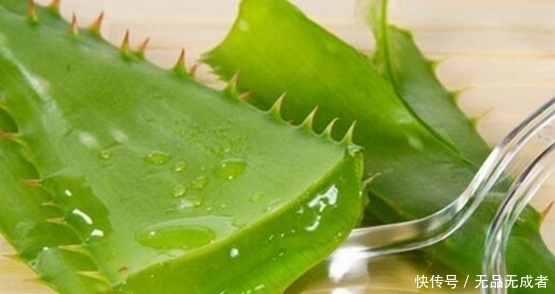 植物|农村这种植物很常见还是女性的好朋友，能淡斑美白、消炎止痒！