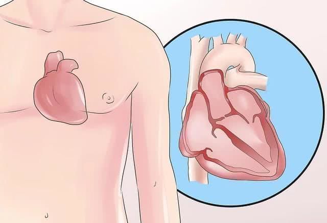 长寿|寿命长的人，往往能达到6个标准，占了1个，也更容易迎来长寿！