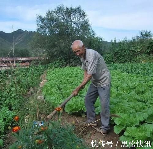 免疫体|身体有6个特征的人，提前恭喜，你有可能是“癌症免疫体”