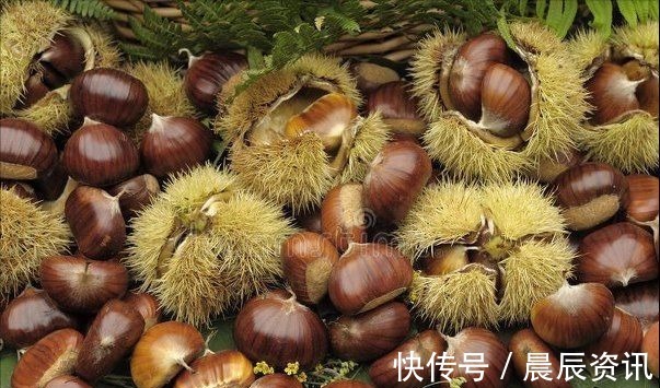 板栗好吃剥壳难，原来是用错了水，教你一招，去皮干净不伤手