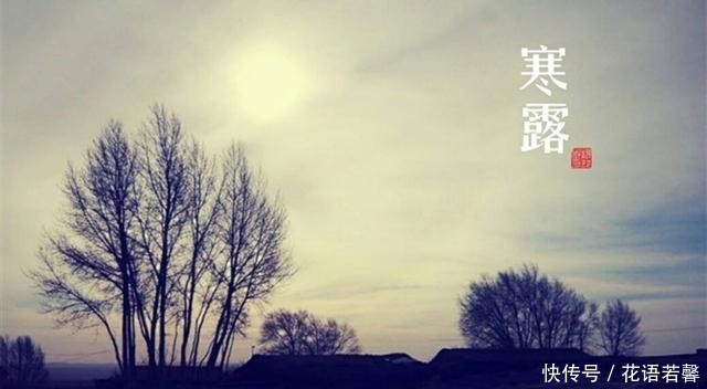 至,农谚寒露过三朝,迟早一齐标啥意思?