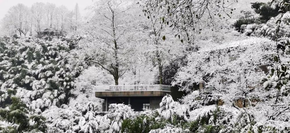 邂逅|来莫干山，邂逅一场冰雪奇缘吧！