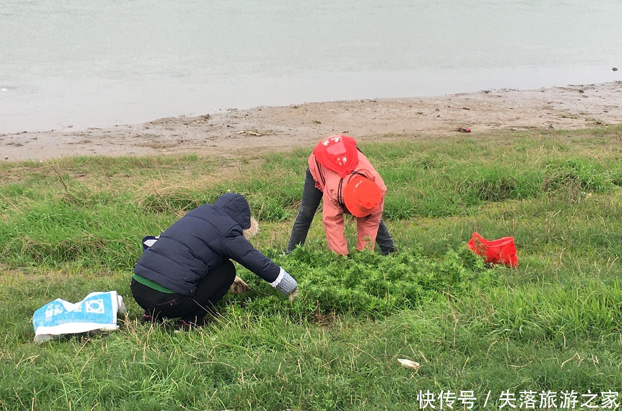 夏候水鸟|【诗鸟谐趣】菱角湖，能不能创造这样令人向往的生态旅游呢！