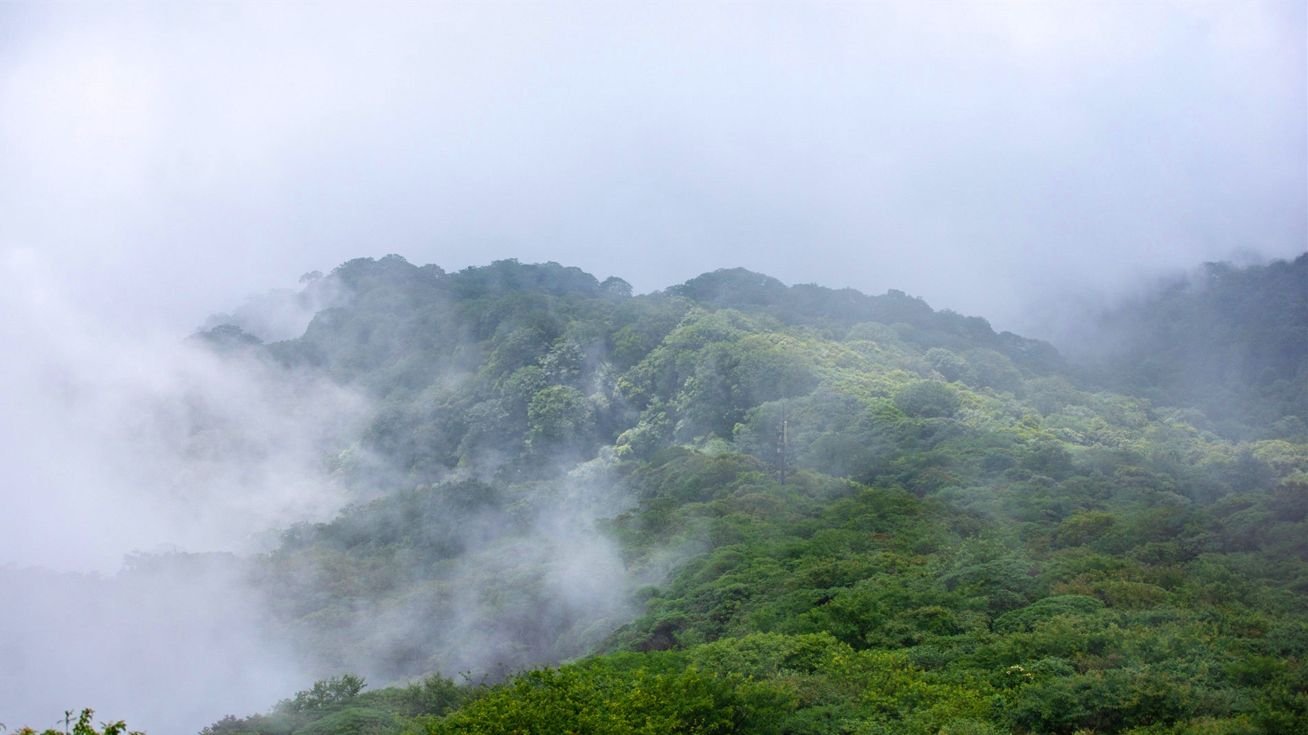 梵净山|梵音净谧梵净山