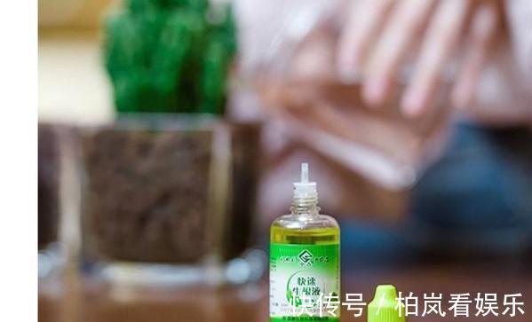 扦插别买“生根剂”，做好3件事，扦插一百根，个个都生根！