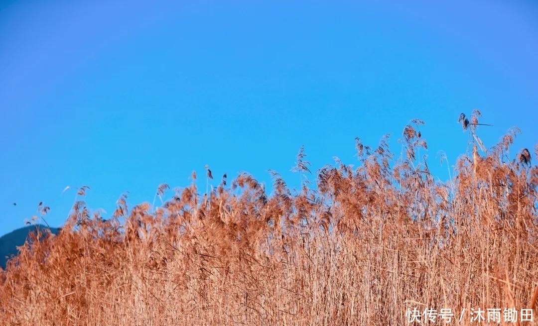 成都户外：忽然，想去泸沽湖了！