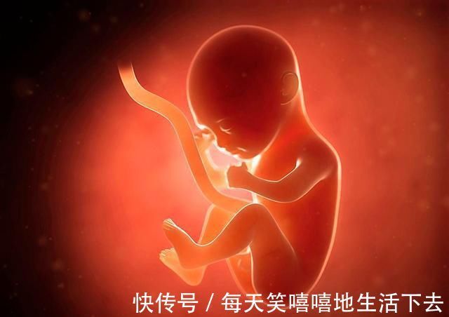 发育|孕期有这3个表现,说明胎儿大脑发育很好,未来多半是个聪明娃