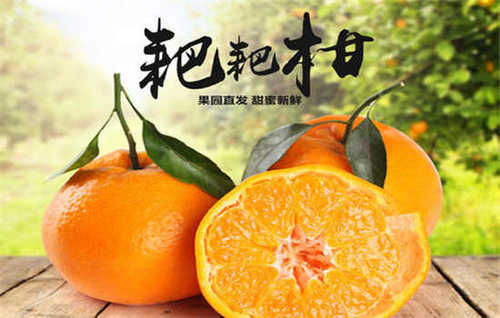 春见是什么水果