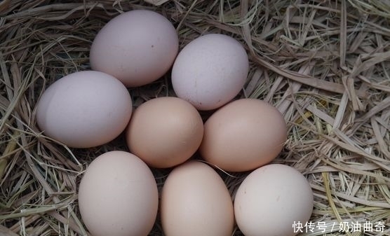 此物|忠告炒鸡蛋不能放此物,吃了就是没病找病,现在知道还不晚