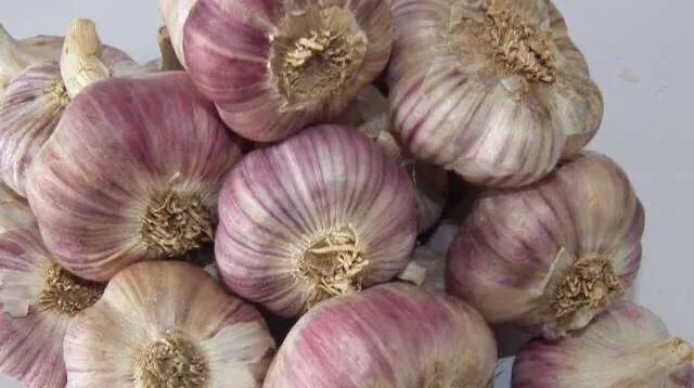 这种大蒜别买了,送你都不要带回家,家里有的快扔掉,快告诉家人
