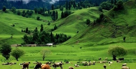 河东盐池&古代唯一一位白手起家的人,没任何背景却影响后世千年,名字耳熟