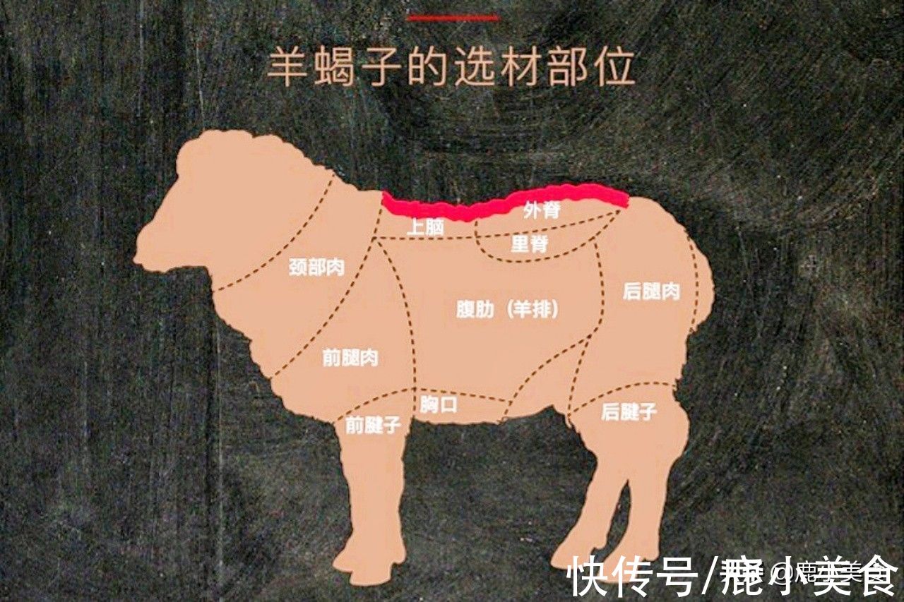 滋补|羊肉最滋补的部位不是羊腩，而是不起眼的它，钙质丰富，炖汤特鲜