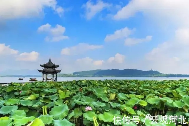 神州#郝秀普:以诗寄情,心怀苍生