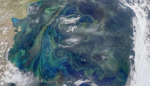 海峡 海峡之中现“水中漩涡”NASA卫星紧急对准,对人类或是致命的