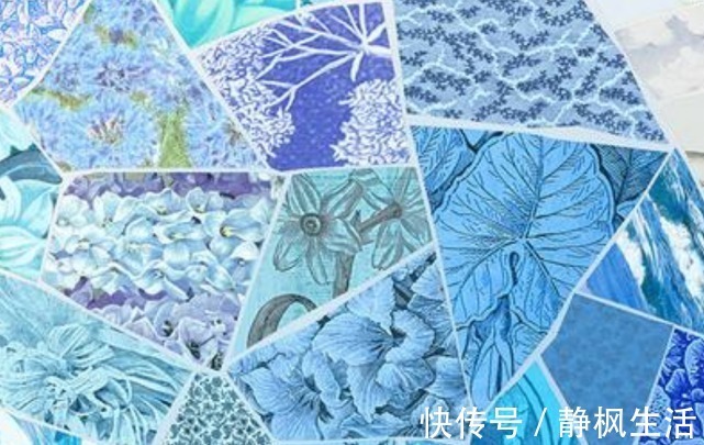 模块@他画了个美人,放大5倍再看,画中别有洞天,网友:原来不是美人
