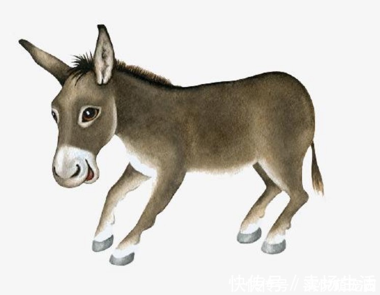 柴陵郁禅师#老和尚摔下毛驴悟出首诗,小和尚读完也写一首,都流传了900多年