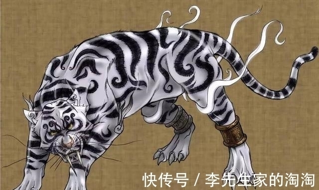 大和|海贼王：幻兽种“大和”到底是什么恶魔果实？这三种概率最大