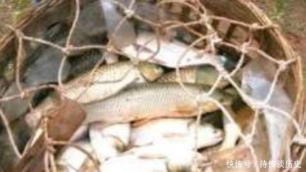 明白|刘伯温去世前送朱元璋一筐鱼,朱元璋17年后才明白?实际是一本书