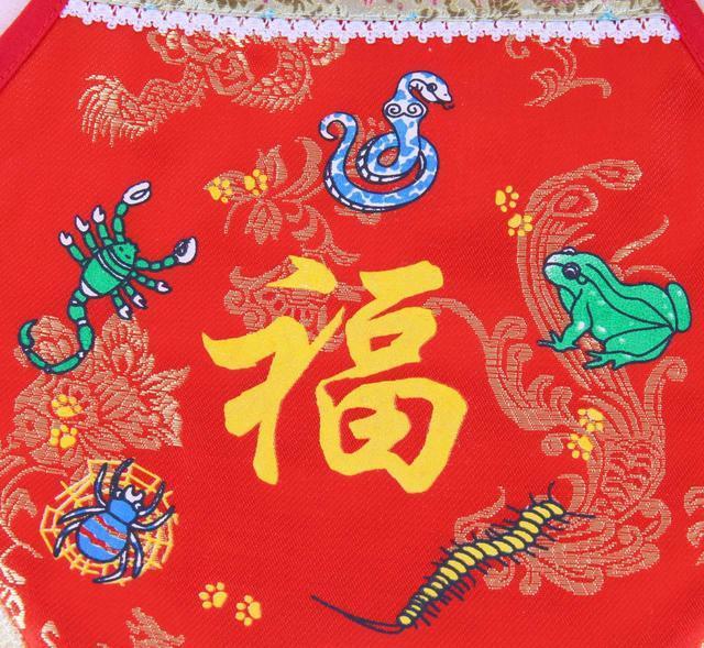 金蚕蛊毒案|害死女婿,老头遭天谴,细说清代“金蚕蛊毒案”