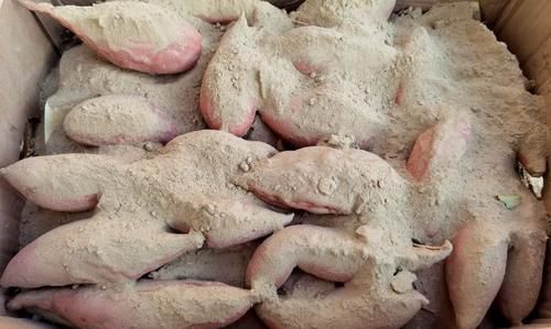 厨娘|秋季遇到这食材,我准买50斤,营养特全面,每天吃点,对身体特好