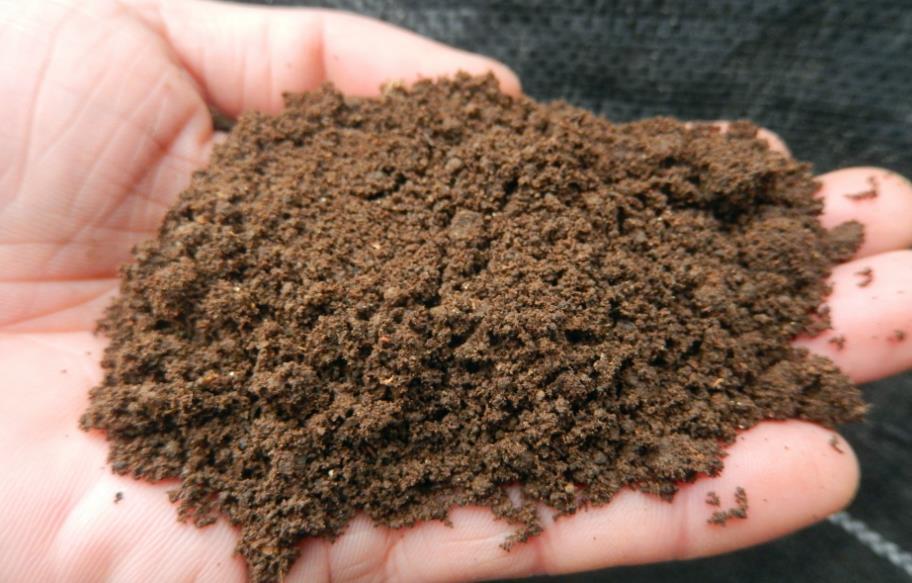 土壤|出门遛弯捡点它回家，一处理养花，植物长得又旺又壮